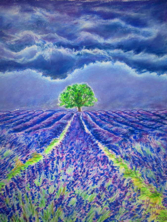 Lavandes sous ciel orageux